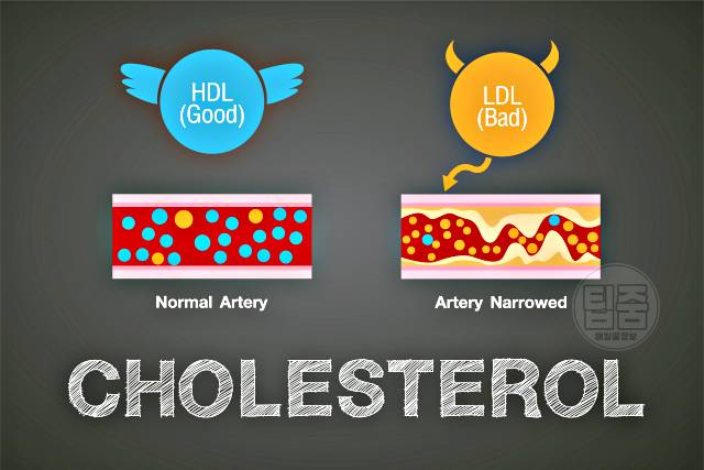 매일 계란 2개 효능,콜레스테롤