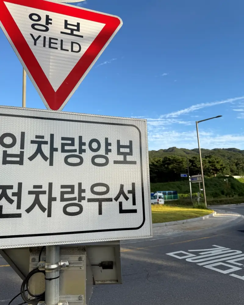 Fusion-24MP-촬영-사진