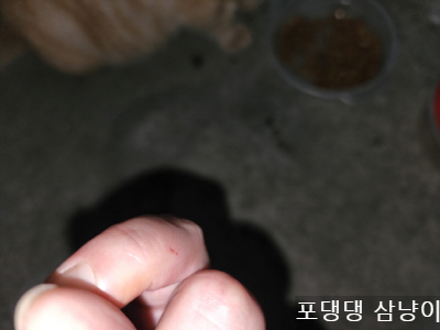 살짝-긁혀-피가-나는-손.