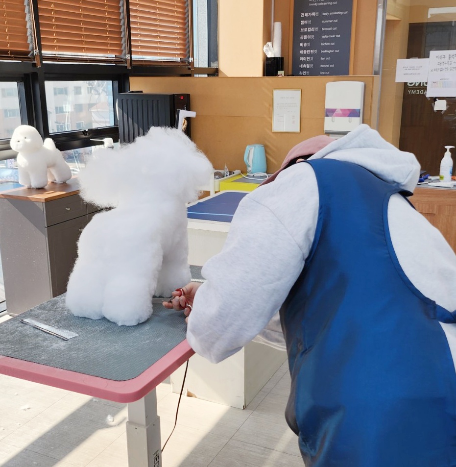 정애견미용학원 실견 위그 실습