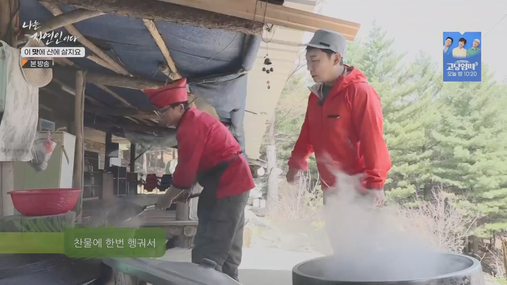 나는 자연인이다.E550.230419p.H264-F1RST.mp4_20230420_195637.957.jpg