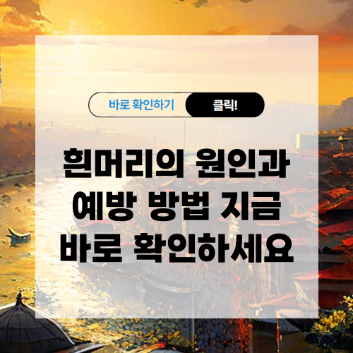 흰머리 원인과 예방 방법 알아보기