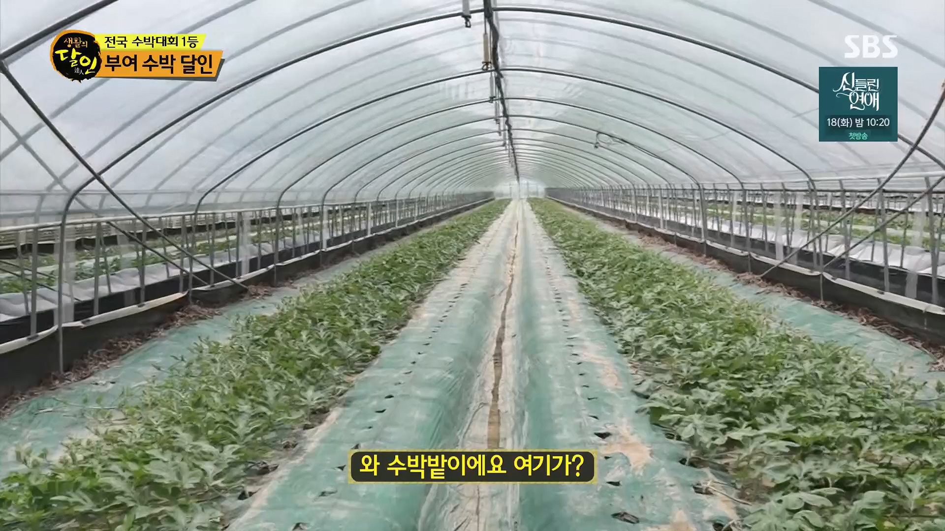 생활의 달인.E939.240610p.H264-F1RST.mp4_20240611_200851.680.jpg