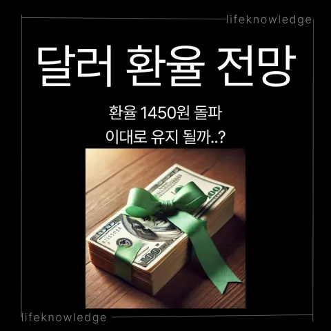 달러 환율 전망 원달러 미국달러
