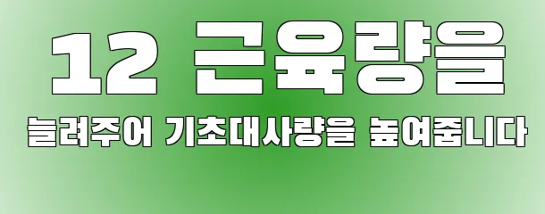  12 근육량을 늘려주어 기초대사량을 높여줍니다