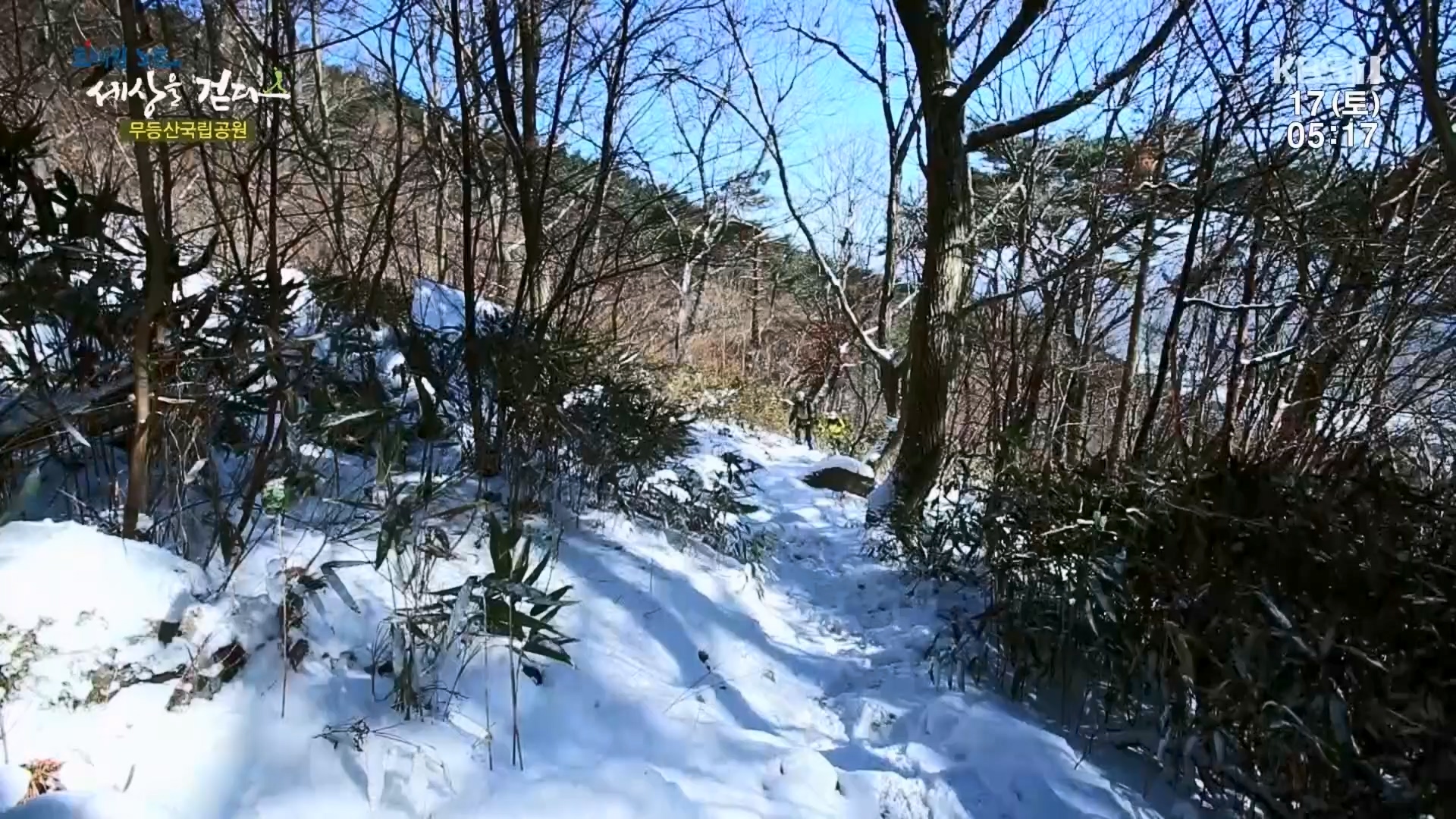 트레킹노트 세상을 걷다.E308.240217p.H264-F1RST.mp4_20240316_173536.554.jpg