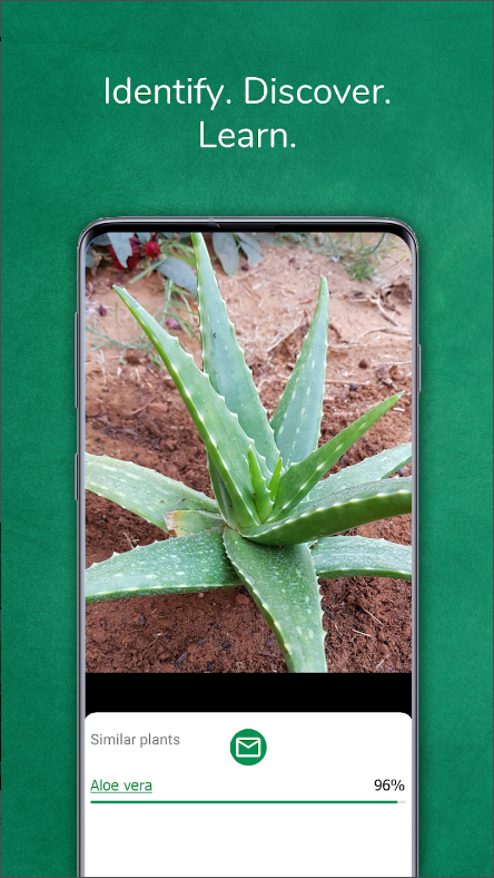 식물이름 찾기 어플 무료&#44; 식물인식 카메라 사진으로 식물식별 하기