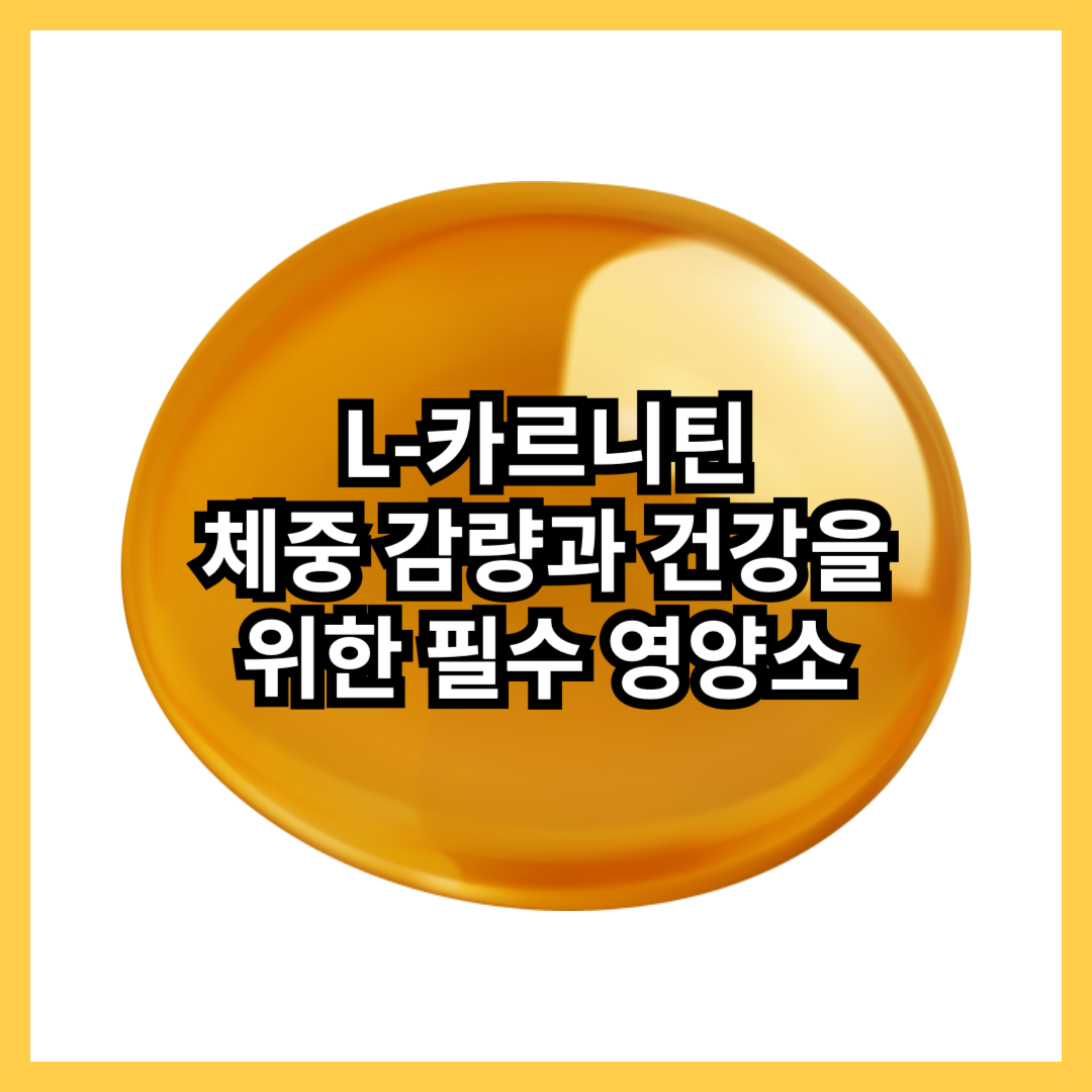 L-카르니틴-체중-감량-건강-위한-필수-영양소-비타민-영양제-추천-주요-기능-지방-운동-심혈관-체중-감량-인지기능-썸네일