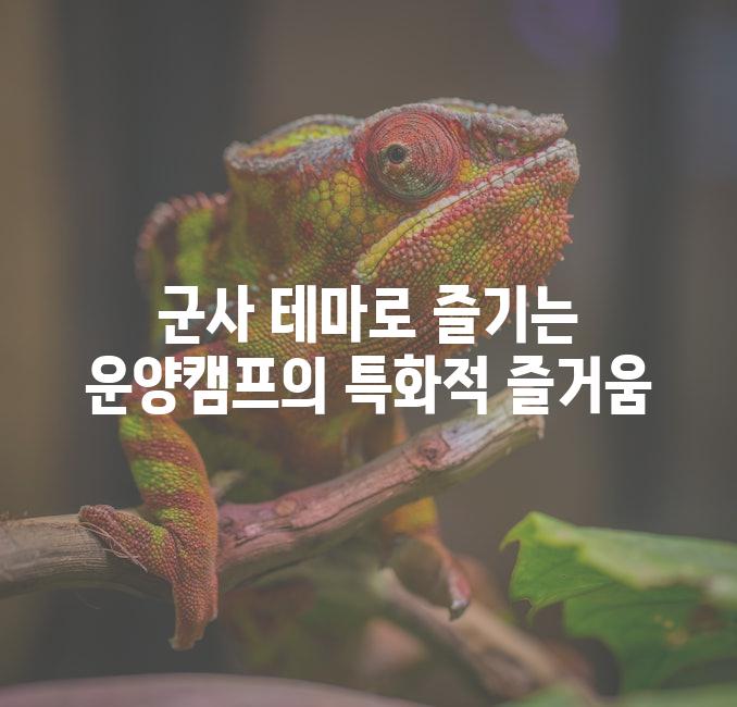 군사 테마로 즐기는, 운양캠프의 특화적 즐거움