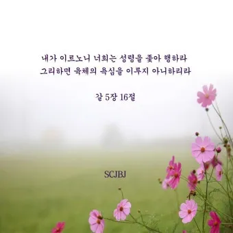 갈라디아서 5장 22절 묵상 - 오직 성령의 열매는 사랑과 희락과 화평과 오래 참음이라_5