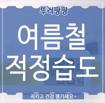 여름철 실내 적정 습도 완벽 관리 가이드_11