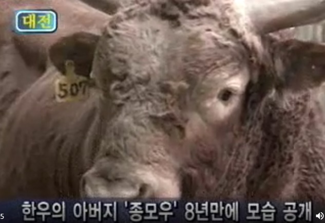 꽃미남축산 이미지
