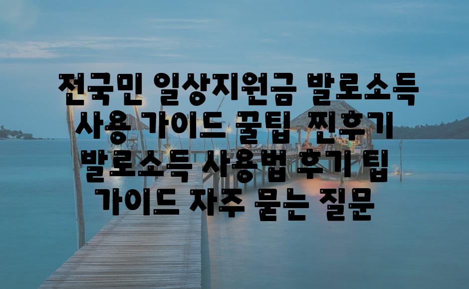  전국민 일상지원금 발로소득 사용 안내 꿀팁  찐후기  발로소득 사용법 후기 팁 안내 자주 묻는 질문