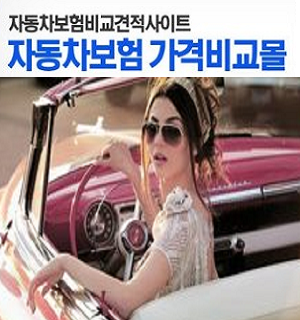  자동차보험사은품 레이보험료 알뜰가입공유