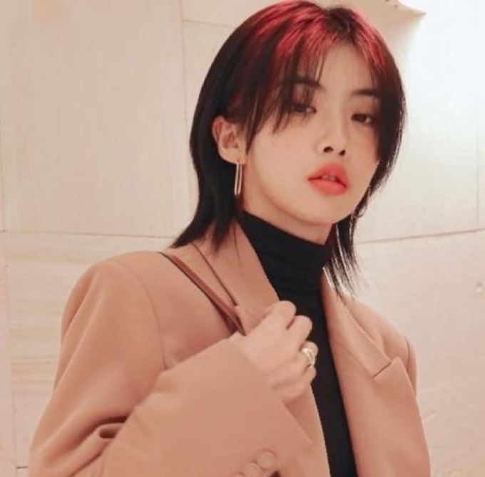  닮은꼴 스타