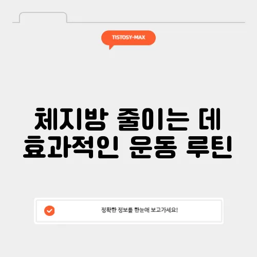 체지방 줄이는 데 효과적인 운동 루틴