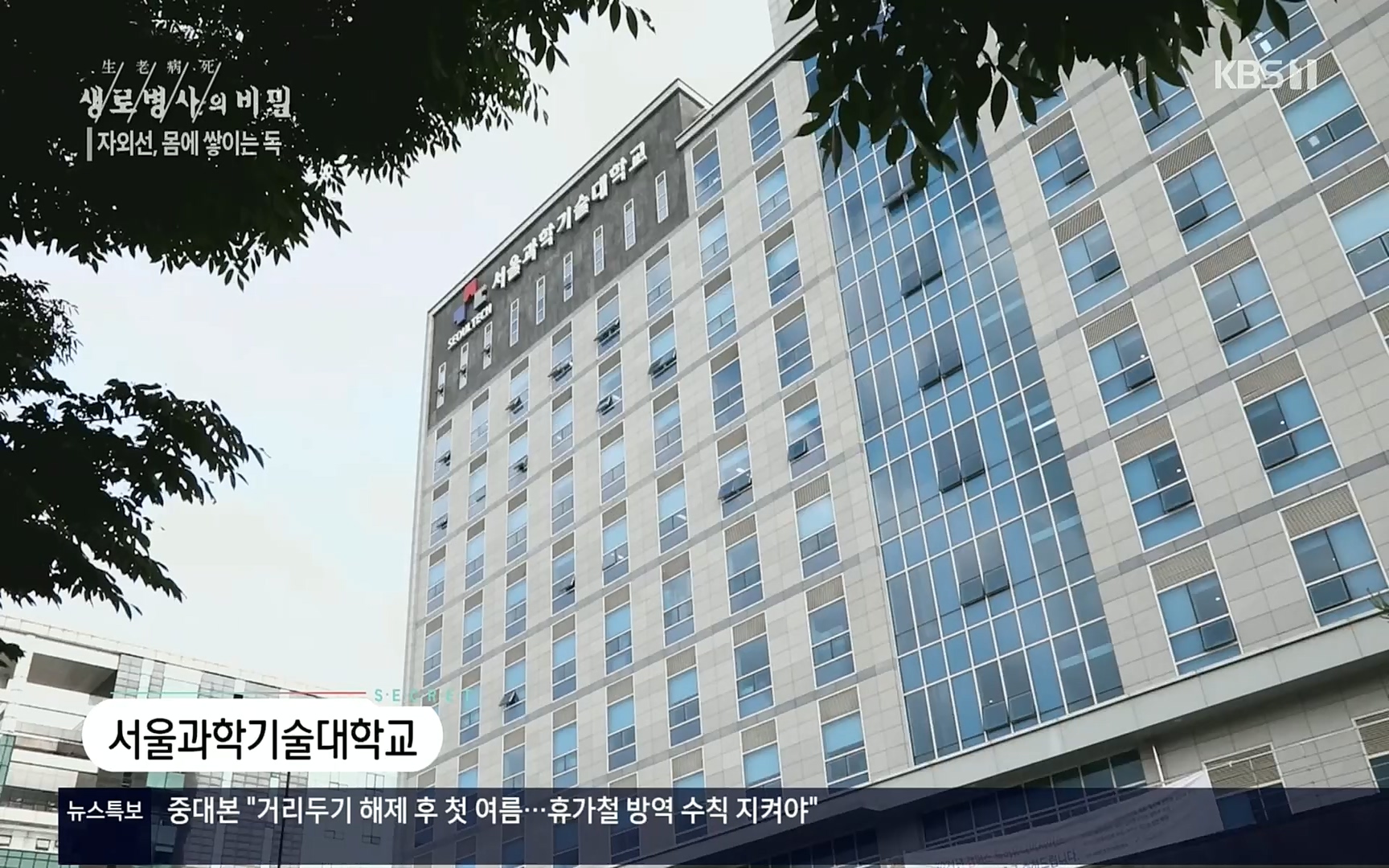 생로병사의 비밀.E824.220629p.H264-F1RST.mp4_20220630_205916.104.jpg