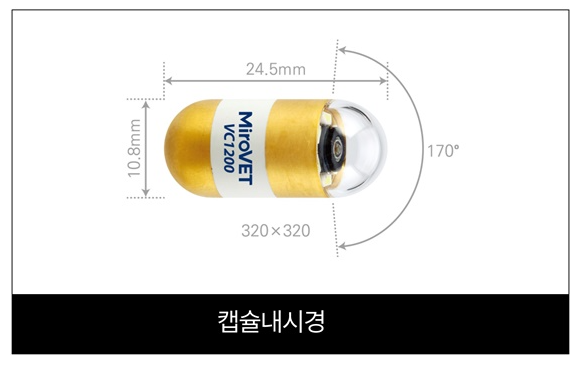 캡슐내시경