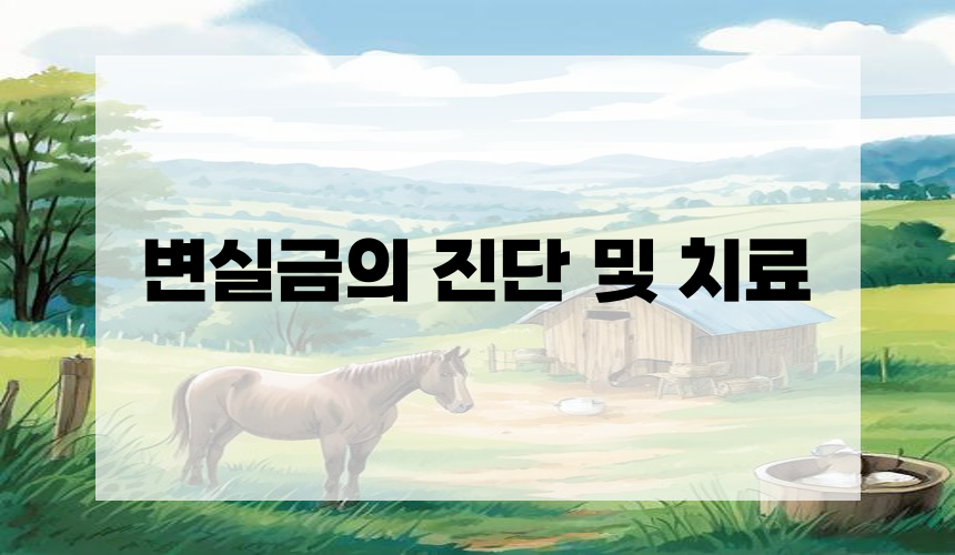 변실금의 진단 및 치료