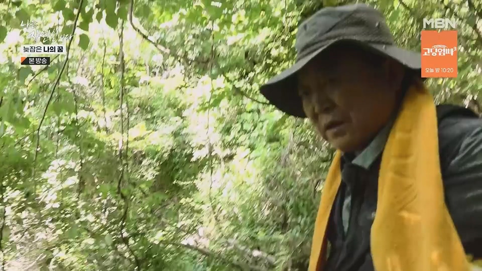 나는 자연인이다.E561.230705p.H264-F1RST.mp4_20230706_213038.562.jpg
