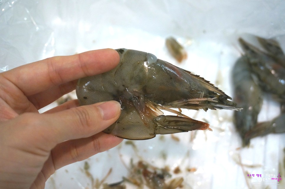 대하 새우 요리 천사수산 왕새우 20