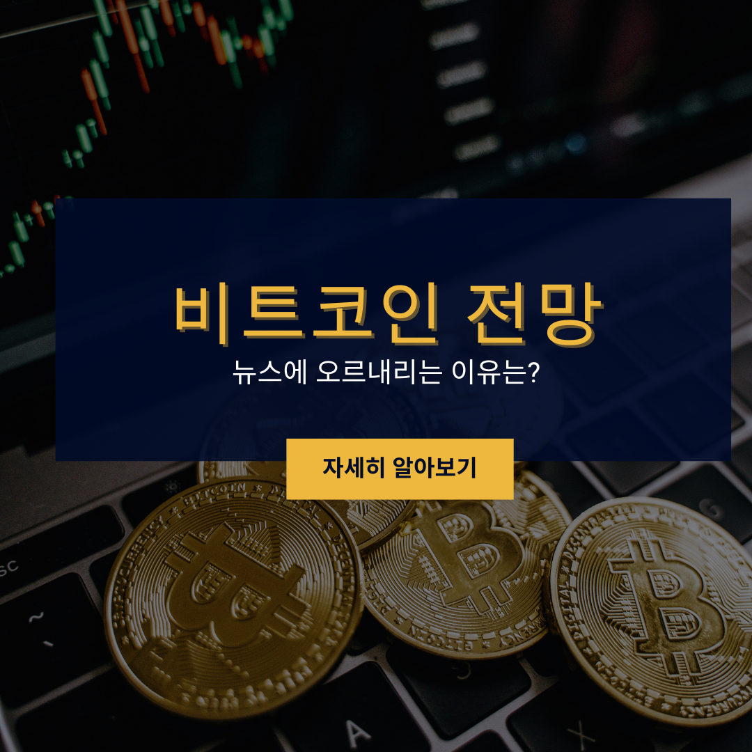  비트코인 도미넌스 보는곳 및 전망 공유