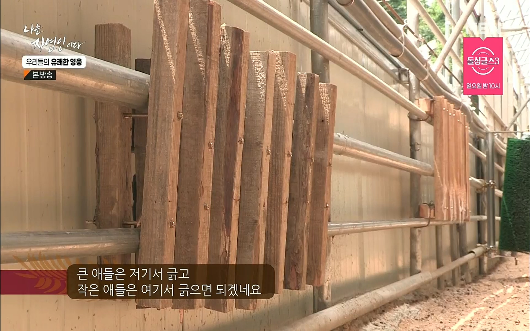 나는 자연인이다.E508.220629p.H264-F1RST.mp4_20220630_203404.292.jpg