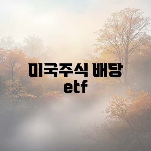 미국주식 배당 etf