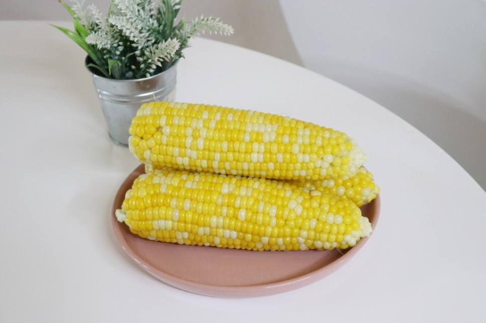 초당 옥수수 보관 냉동 냉장 2가지 방법 21