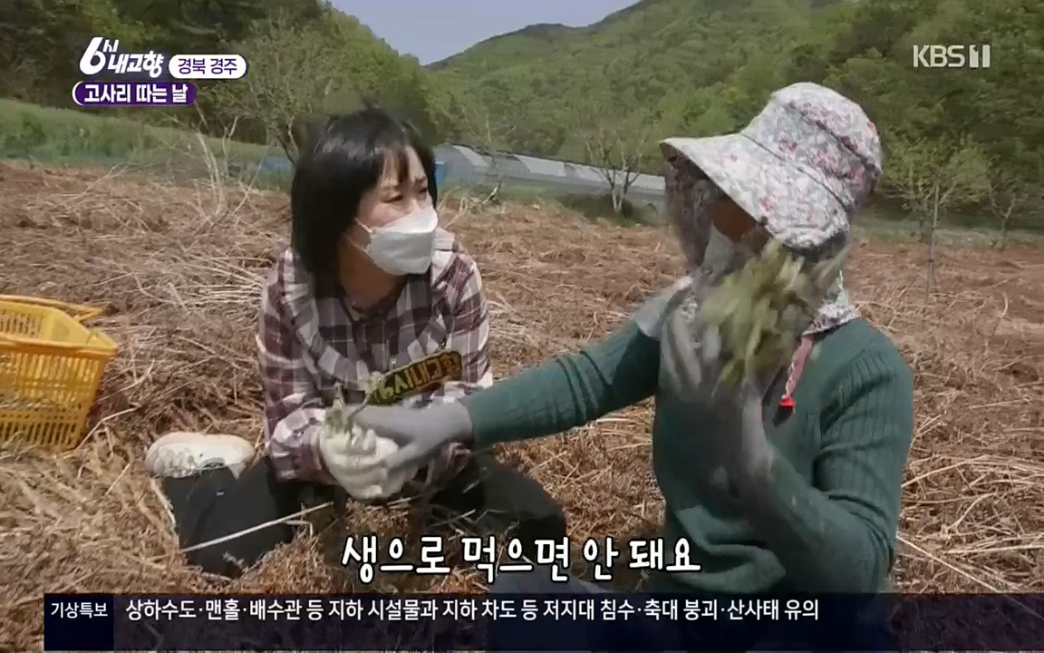 6시 내고향.E7518.220426p.H264-F1RST.mp4_20220504_185218.932.jpg