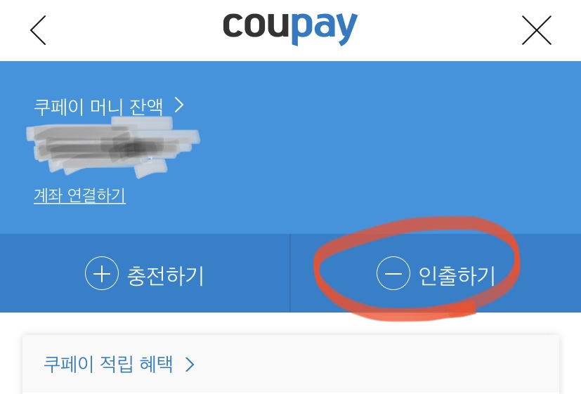  쿠팡 쿠페이머니란 충전 및 현금화 인출방법
