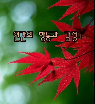  인간의 행동과 감정 - 해몽4;아름다움,추악함,황홀함,감탄,답답하고 암담함 등.