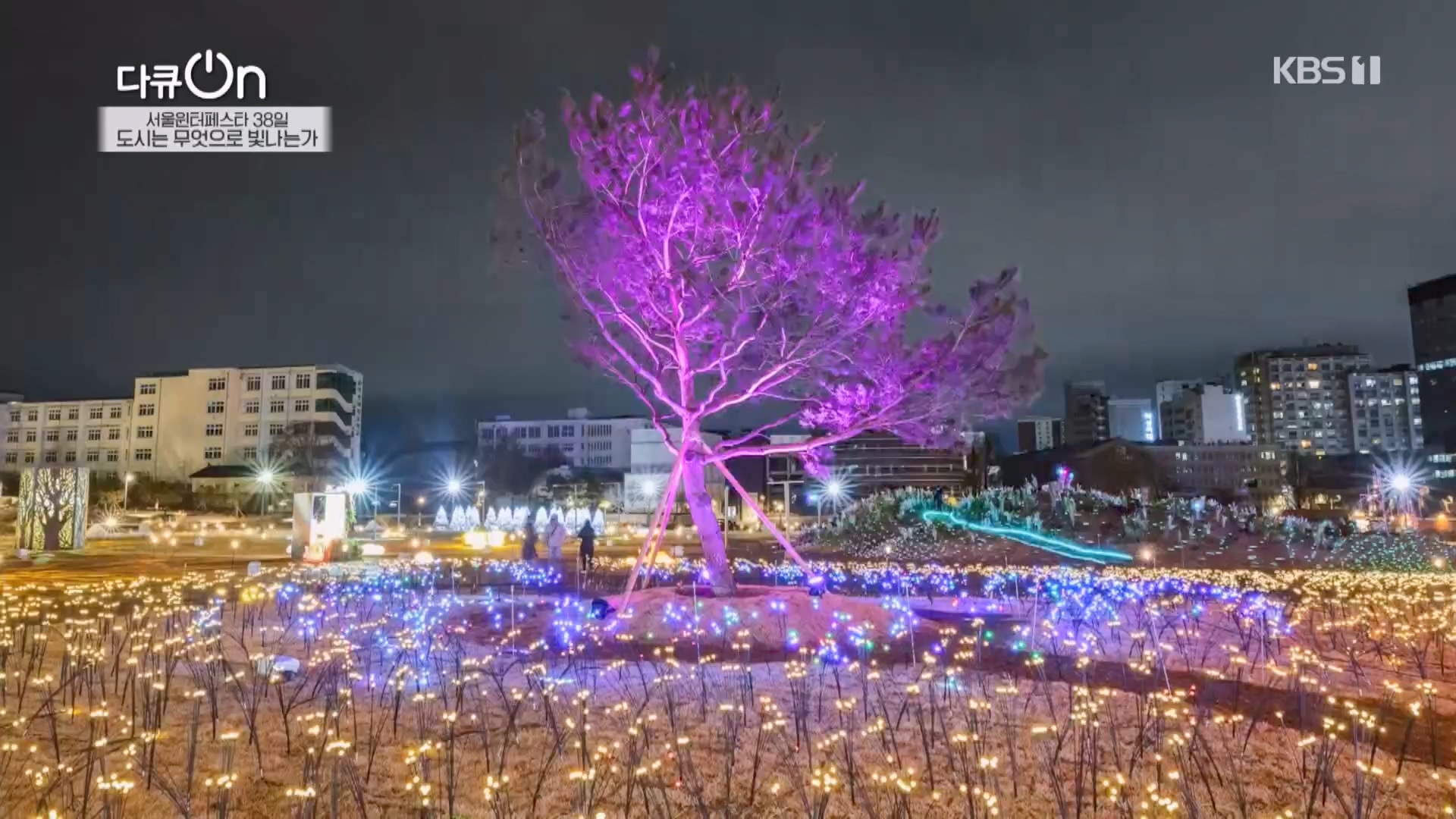 다큐 On.E239.240217p.H264-F1RST.mp4_20240218_172329.303.jpg