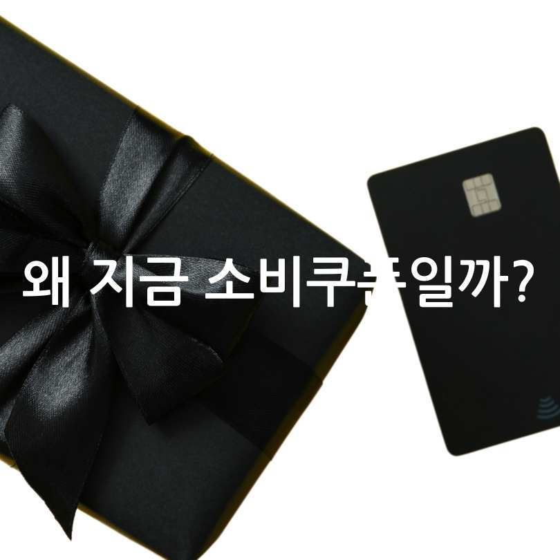 민생회복 소비쿠폰 &amp;#44;대전 시민