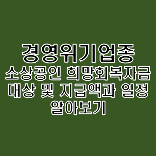  [추가 확정] 경영위기업종 소상공인 희망회복자금 대상 및 금액 그리고 일정