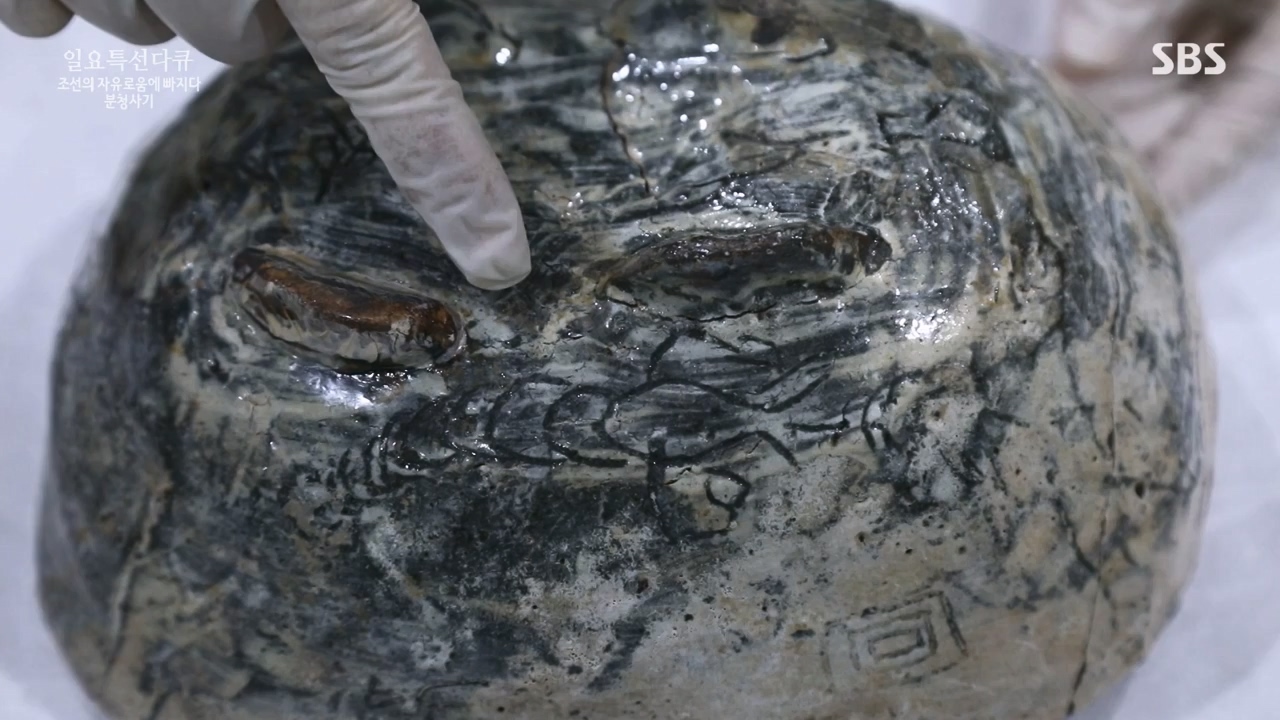 일요특선 다큐멘터리.E338.240129p-NEXT.mp4_20240129_204910.561.jpg