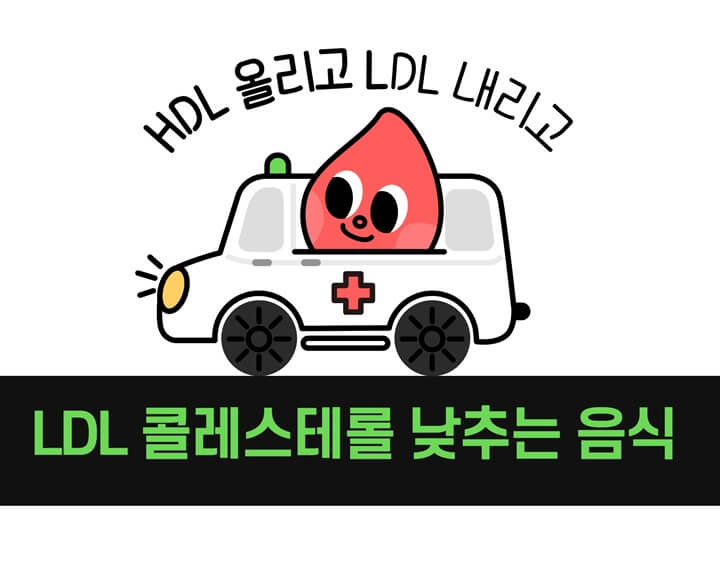  나쁜 ldl 콜레스테롤 낮추는 음식 모음