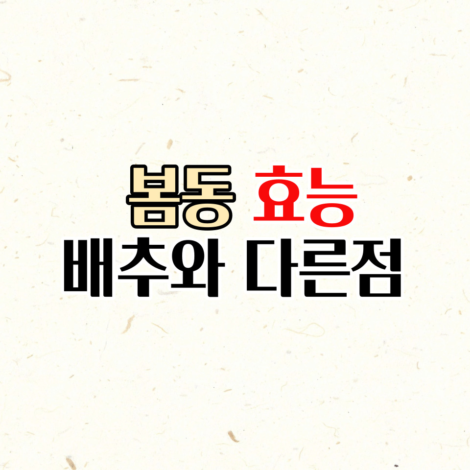  봄동 효능 6가지와 배추와 다른 차이점 정리해드리겠습니다.