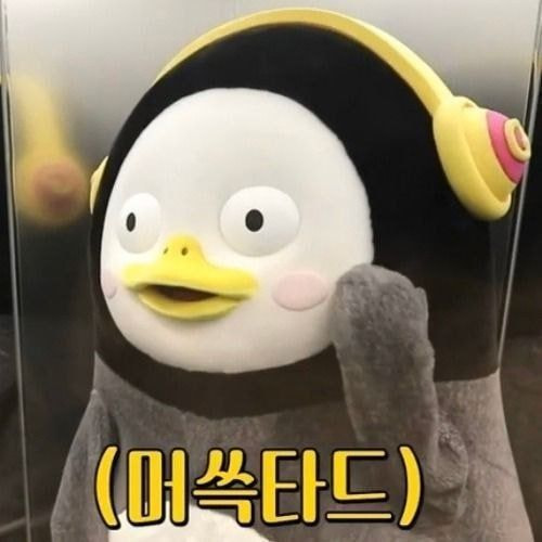 디스앤댓서울 이미지