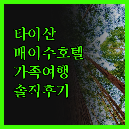 타이산 매이수 리조트 호텔 솔직 후기