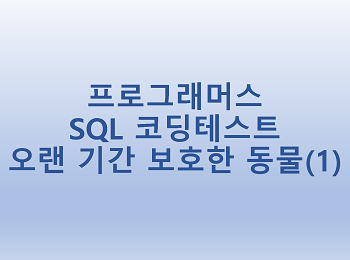  [프로그래머스] SQL 코딩테스트 오랜 기간 보호한 동물(1)