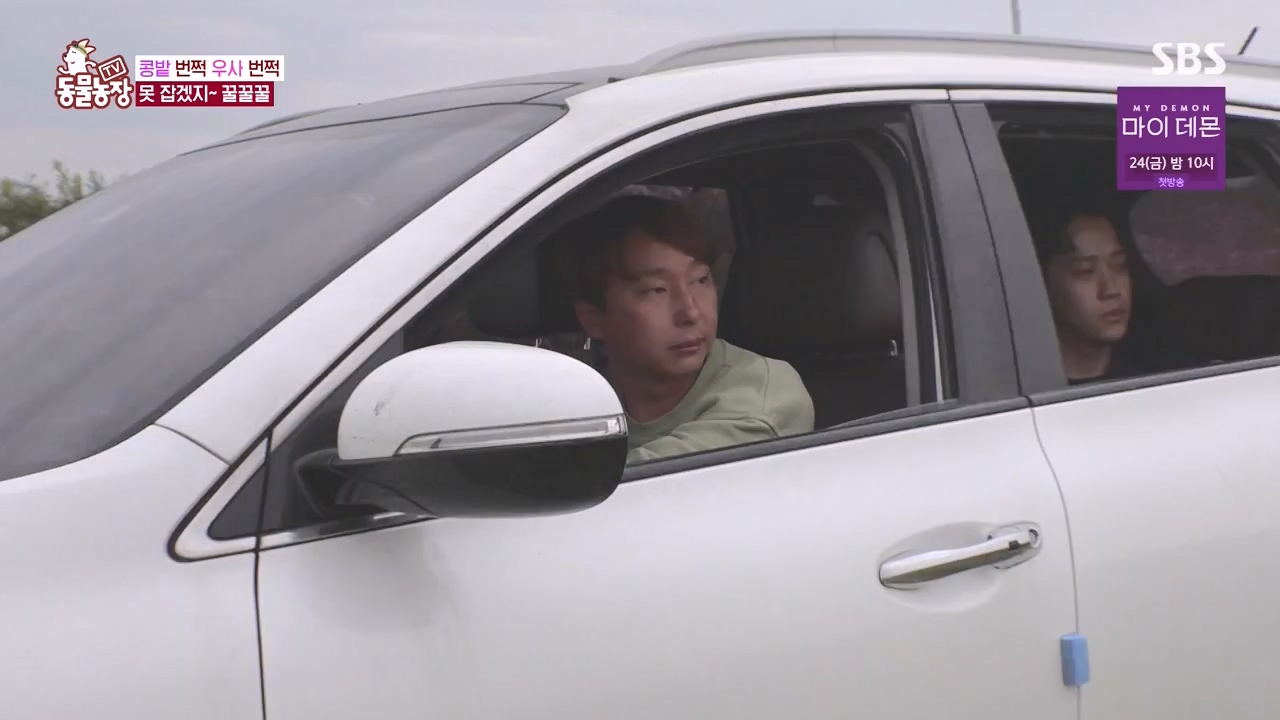 TV 동물농장.E1144.231106p-NEXT.mp4_20231105_175951.573.jpg