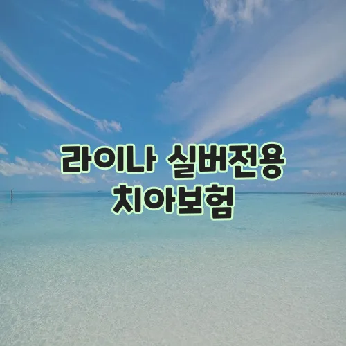 라이나 실버전용 치아보험, 월 2만 5천 원부터 가입 가능