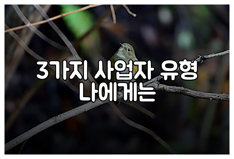 3가지 사업자 유형 나에게는