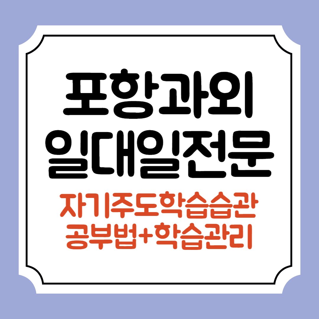  포항 고등 국어과외 수학 초등 고등 영어과외 1:1 전문과외쌤 개인 내신 입시 방학특강 예비중 예비고