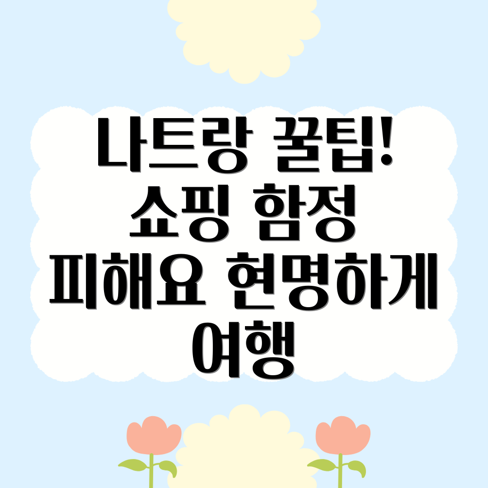 나트랑 멍청비용