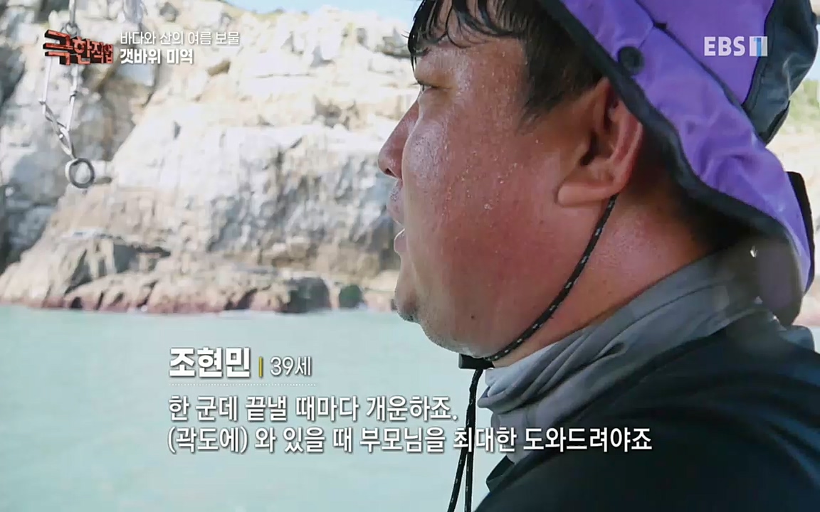 TV - 교육의 중심 EBS바다와 산의 여름 보물, 갯바위 미역 & 꽃송이버섯.mp4_20220828_145315.620.jpg