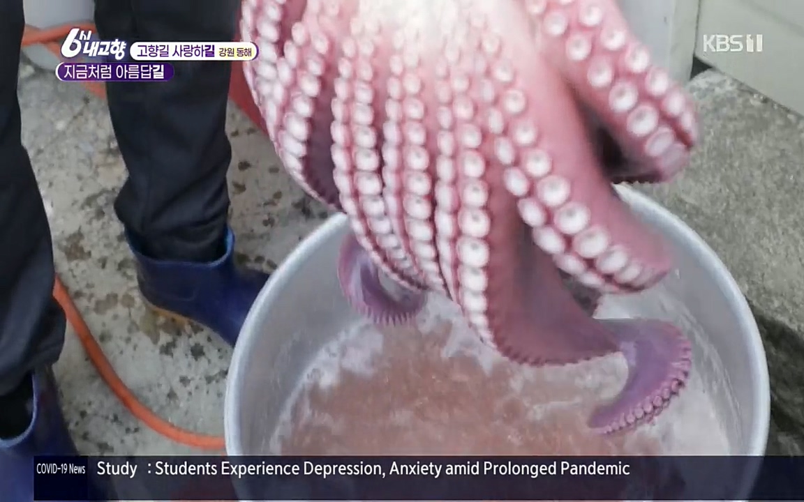 6시 내고향.E7512.220416p.H264-F1RST.mp4_20220502_192220.046.jpg