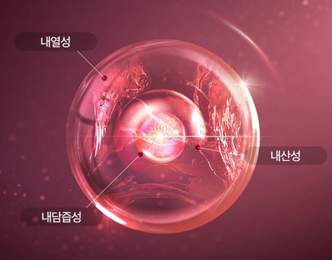 장용성 코팅 휴온스 메노락토 갱년기유산균