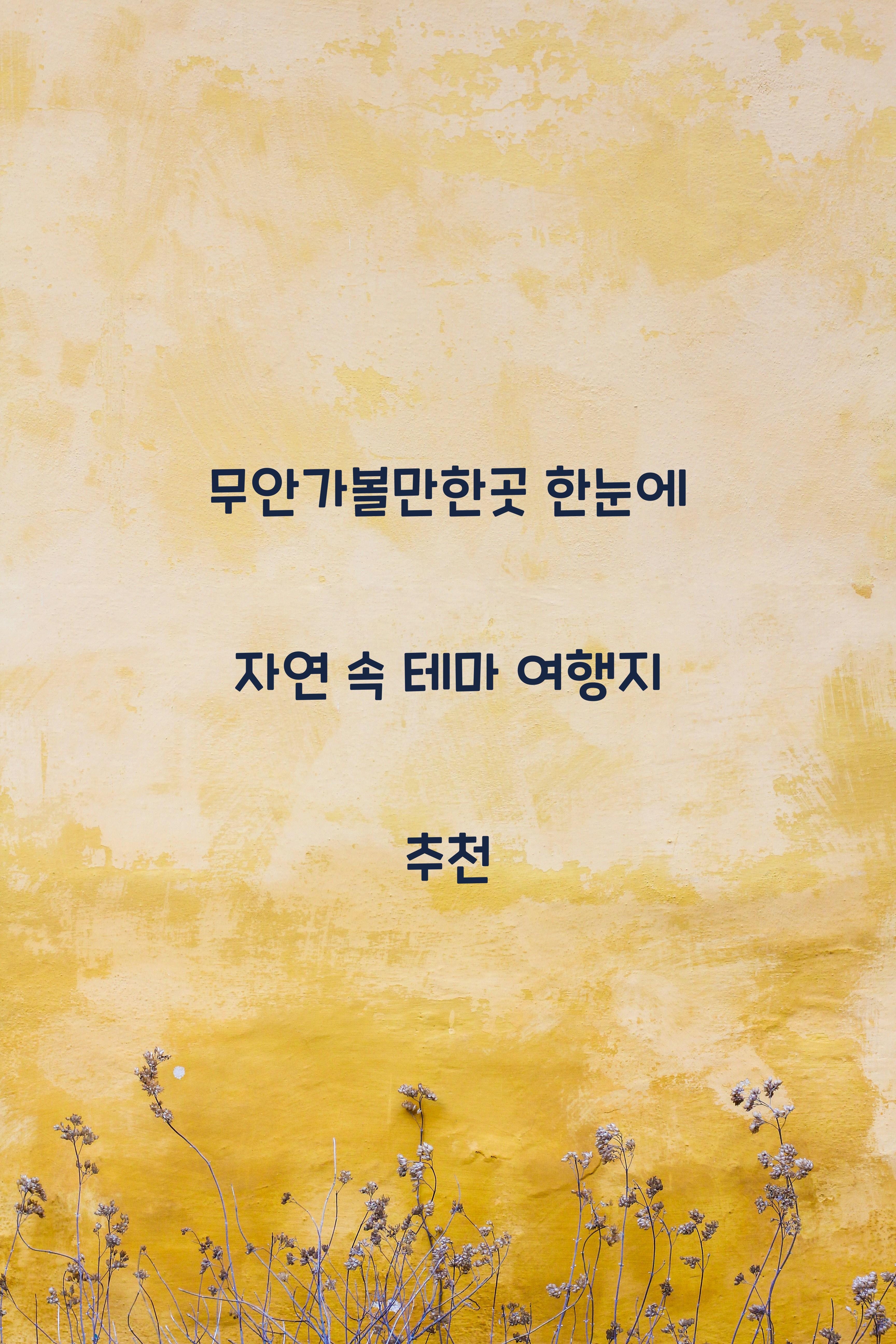 무안가볼만한곳